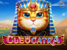 Gaminator casino slot makinesi51